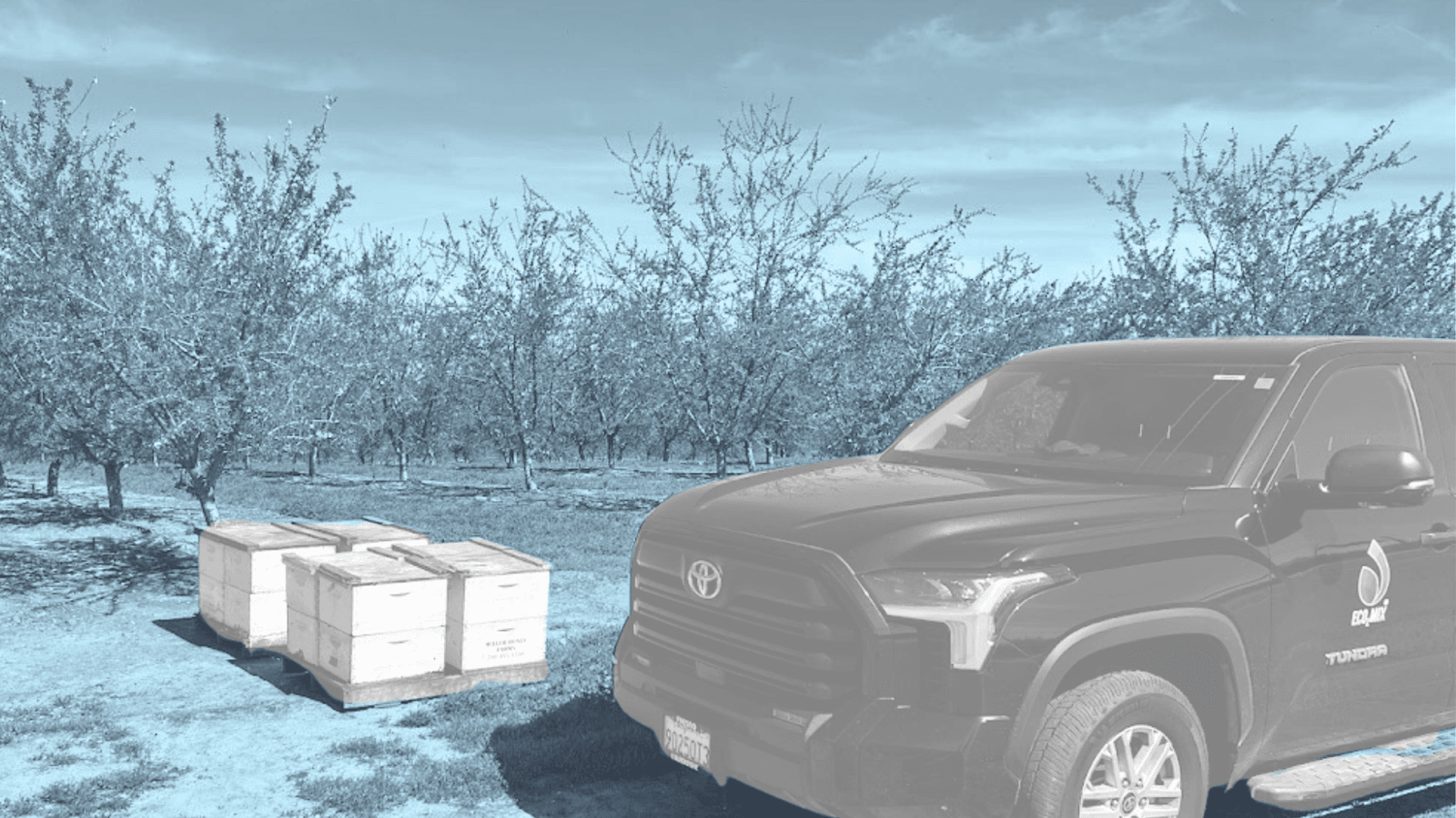 Sustainable Water pH Treatment for Almonds